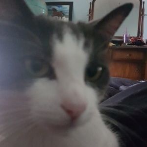 Meet your Posher, Dawn